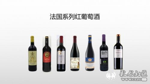 饕餮集結，美酒飄香 9月16日昆臺美食文化節暨酒業進出口展邀您共赴盛宴