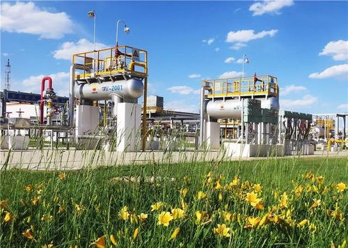 守護(hù)毛烏素的碧水藍(lán)天 長(zhǎng)慶油田采氣三廠(chǎng)環(huán)保效益開(kāi)發(fā)始終在路上