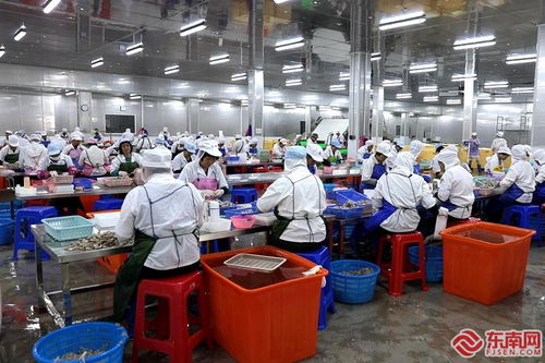 民營經(jīng)濟(jì)高質(zhì)量發(fā)展 詔安恒暉水產(chǎn) 專注水產(chǎn)定制化加工 年產(chǎn)值超10億元